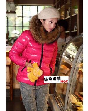 Long Sleeves Down Coat